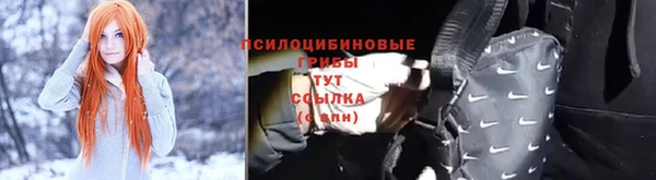 хмурый Надым