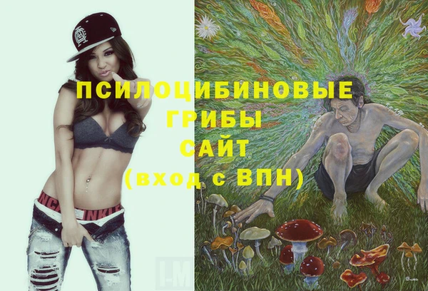 хмурый Надым