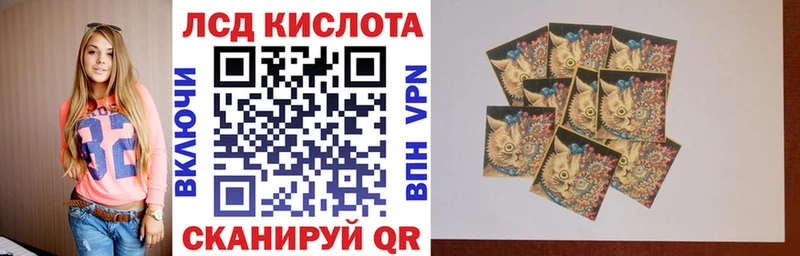 Марки N-bome 1,5мг  MEGA как зайти  Абакан 